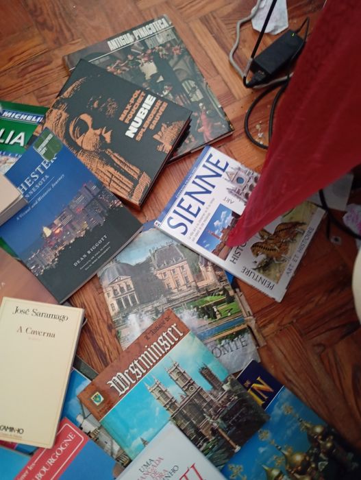 Saldos  livros Saramago/ Viagens e outros - Desde 2E.
