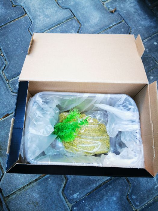 Nowe Betta Kit akwarium 3l