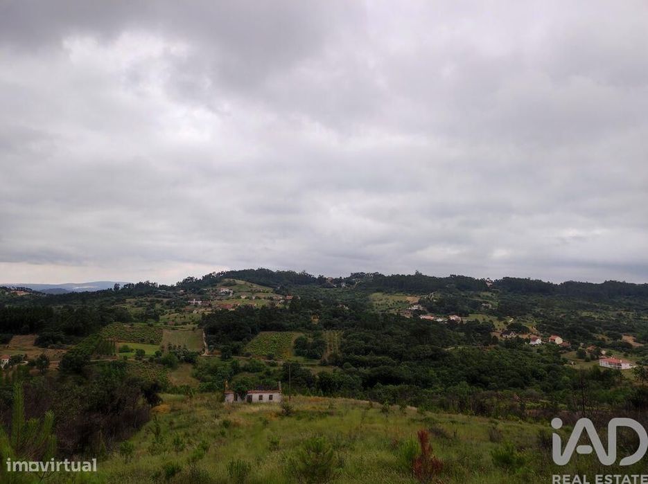 Terreno para construção em Colmeias e Memória de 116,00 m2