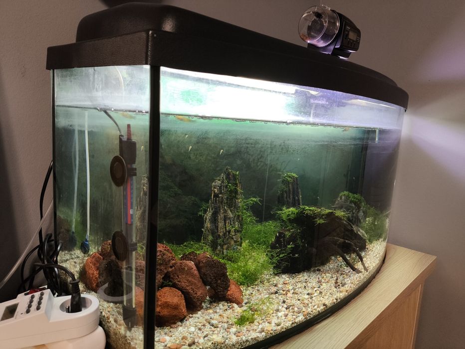 Akwarium 112l pełen zestaw