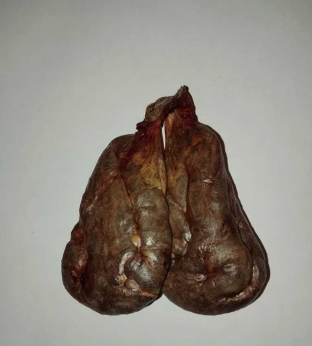 Струя Бобровая ..