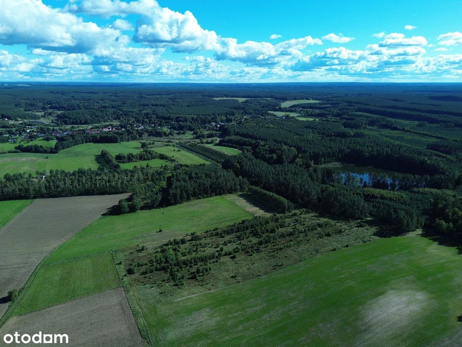 Grunt rolny 3,49 ha – rozległy teren w otoczeniu lasów i zieleni - Więcej