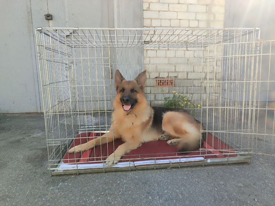 Продается клетка для животных