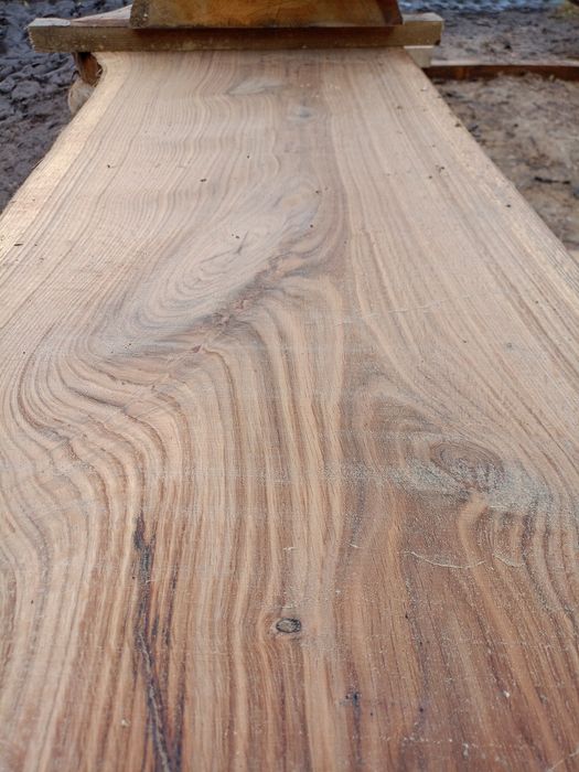 Blaty, monolity dębowe/ jesionowe