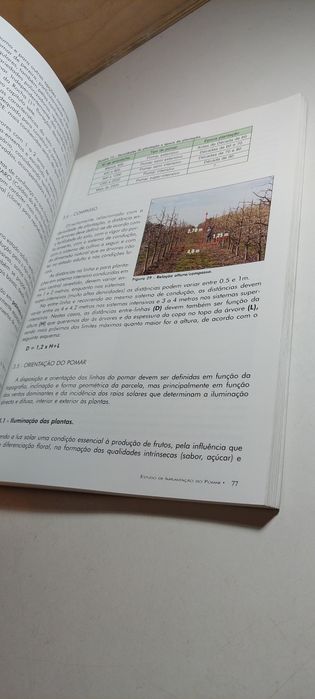 O Livro da Pera Rocha - Jorge Soares, Amado Silva, José Alexandre