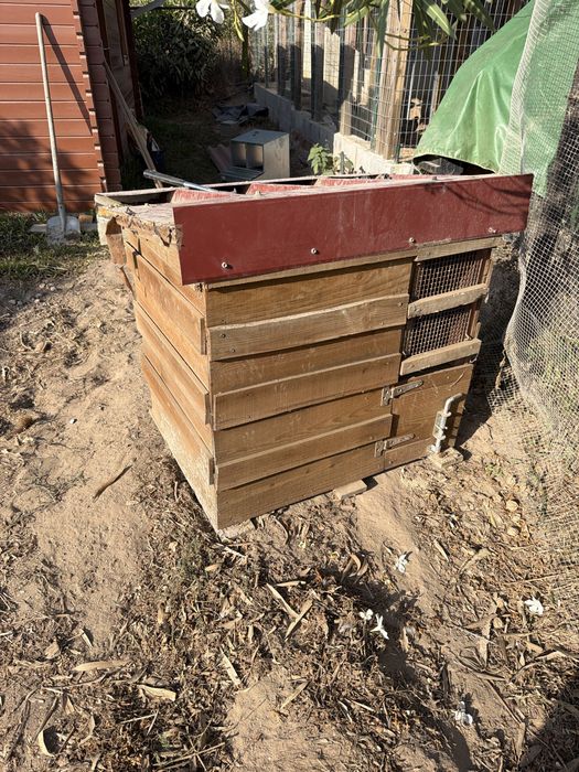 Casa animais casota com madeira tratada com rede interna e chapa por cima casota cao gato galinhas passaros coelhos