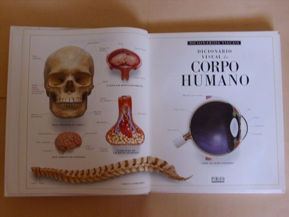 O Corpo Humano e outras Grandes Máquinas