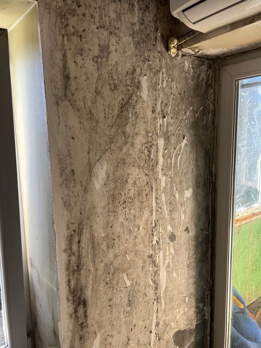 Уничтожение тараканов клопов блох крыс Устранить Трупный ЗАПАХ Плесень