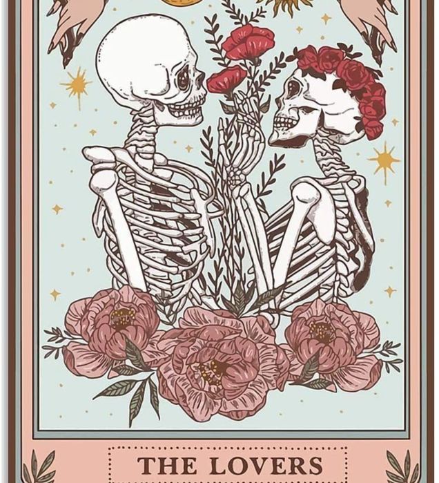 Sks telefon, kamerka, porady