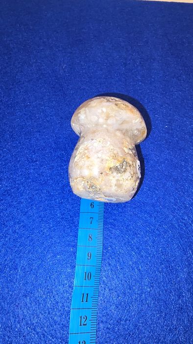 Cogumelo em agata flor