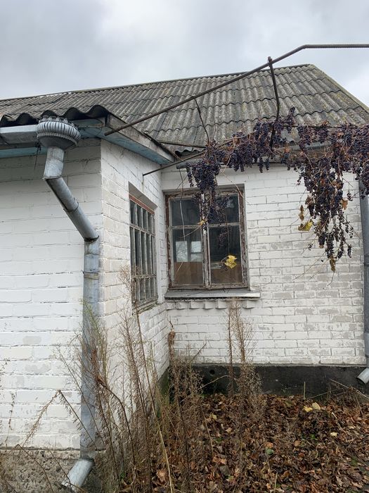Продаю будинок з земельною ділянкою 15 соток