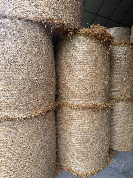 Słoma Owsiana w belach