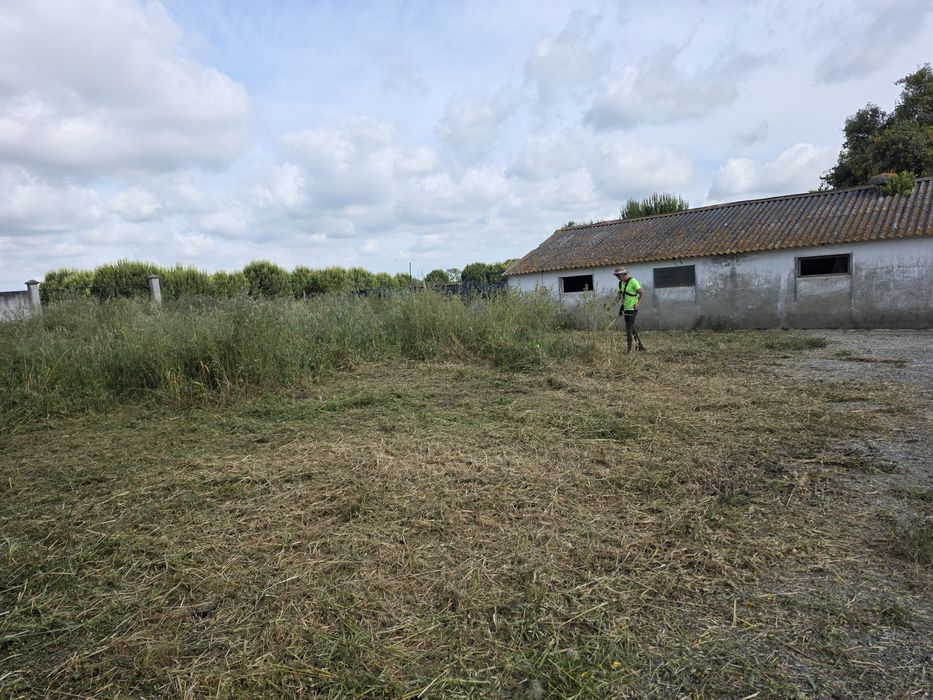 Limpeza de terrenos com roçadora