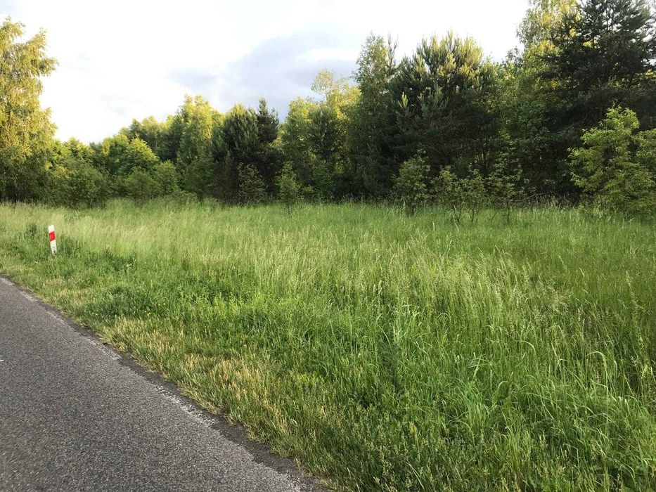 Sprzedam działki budowlane 3000 m2