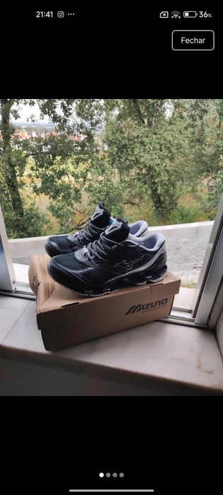 Mizuno wave profecy