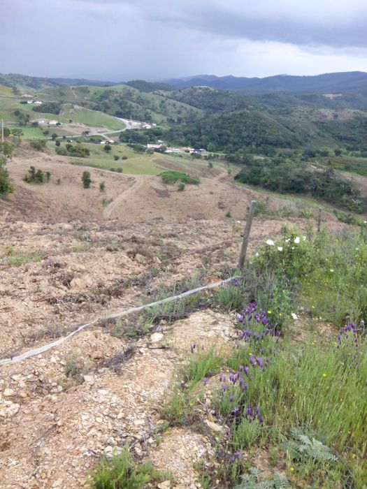 Terreno com ruína perto de São Teotónio zambujeira do mar