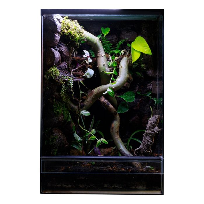 Terrarium tropikalne 40x40x60 gekon orzęsiony