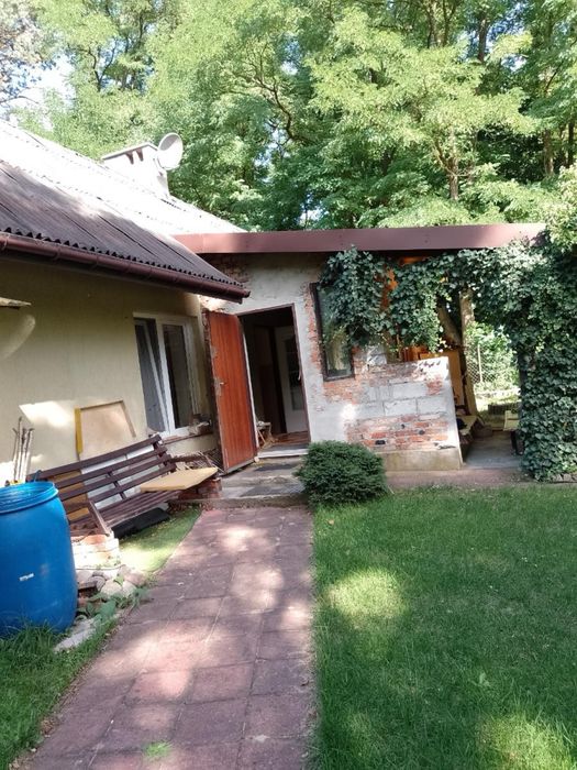 Zdjęcie 5