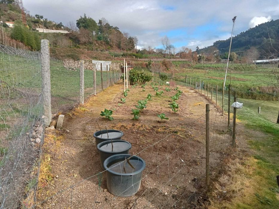 Aluguer de Quinta para Atividades, Cultivo e Workshops