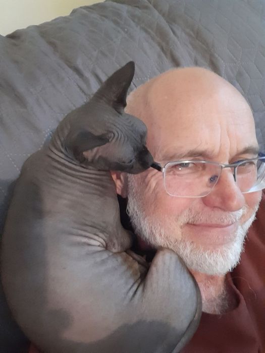 Передержка животных