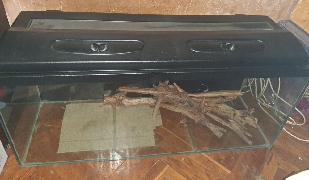 Продам акваріум( тераріум)