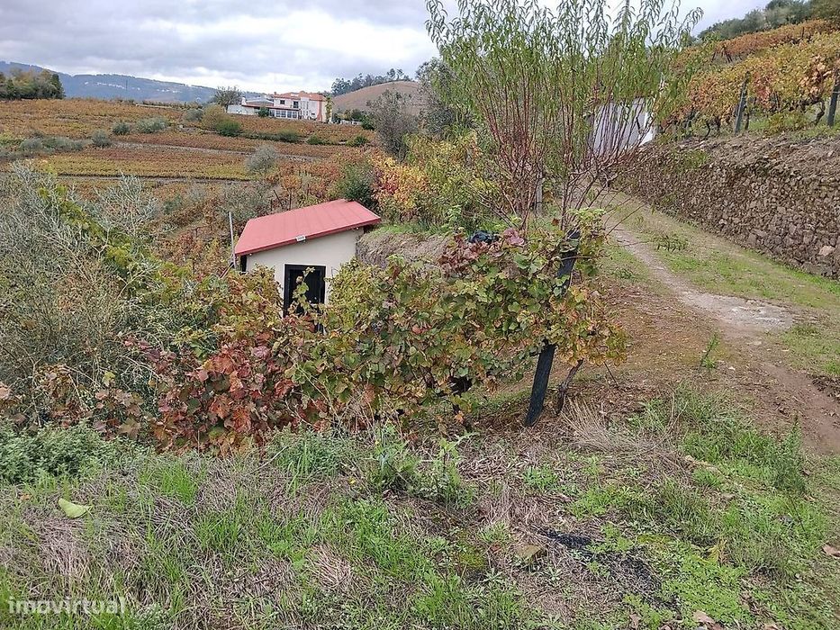 Terreno  para venda