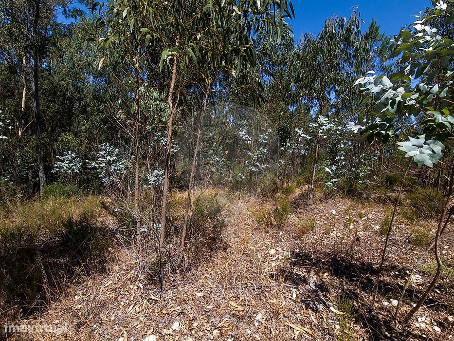 Terreno  para venda