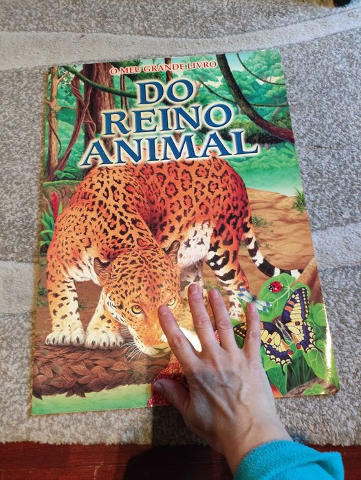 Livro grande infantil animais