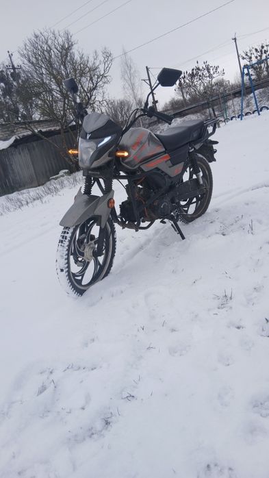 Продам мустанг фит 2