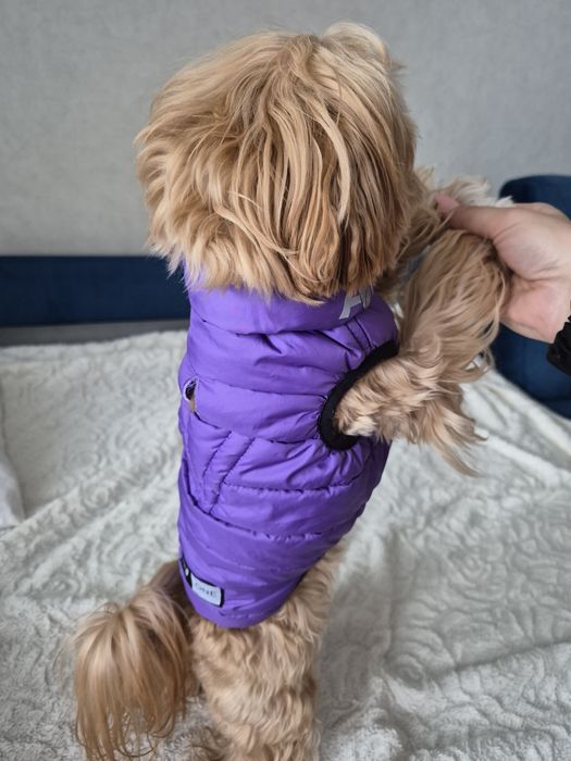 Жилет для собаки