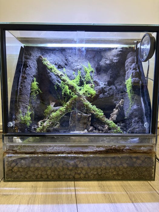 Terrarium z wodospadem