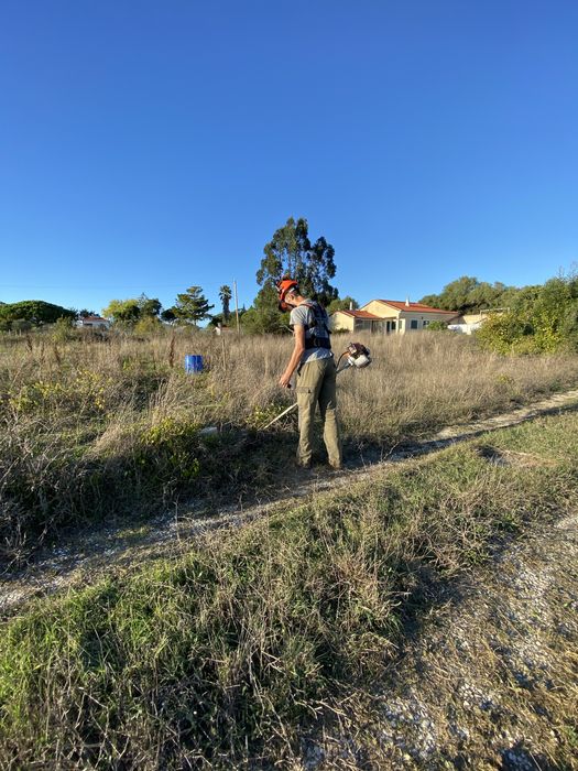 Limpeza de terrenos / corte de arvores etc…