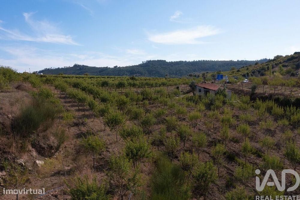Terreno em Lamas
