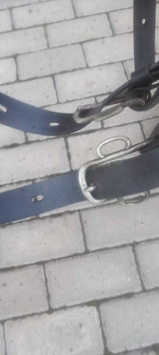 sprzedam puszory dla konia