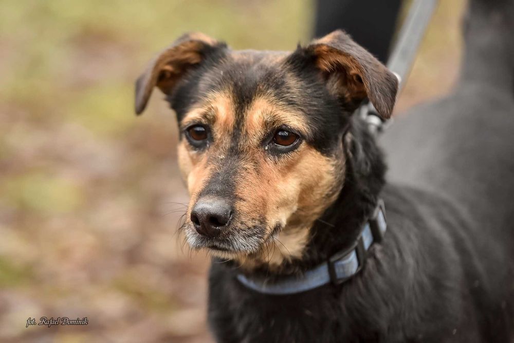 Bunia szuka kochającego domu!