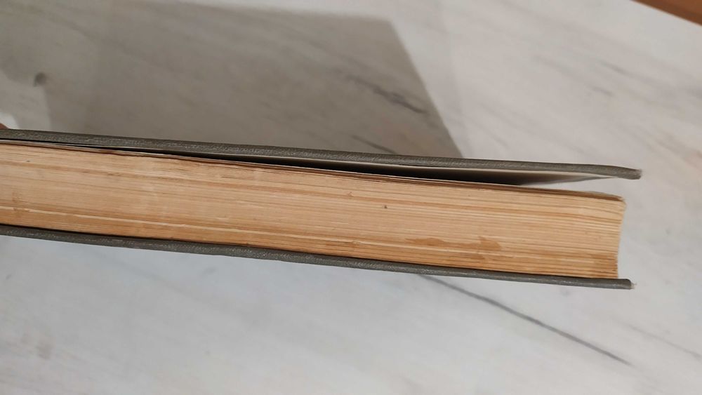 Авіценна Абу Алі Ібн Сіна