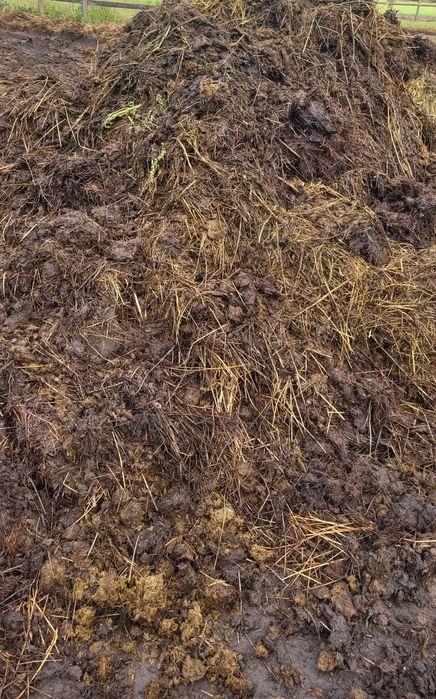 oddam obornik koński