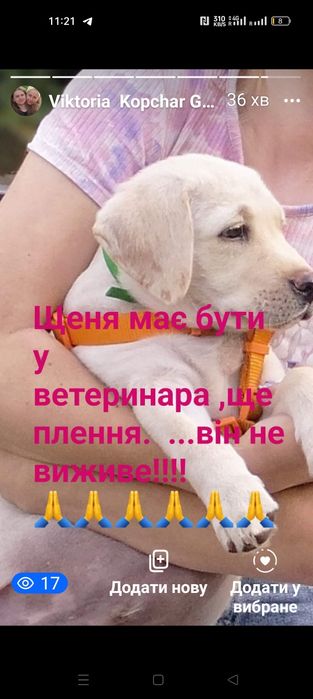 Сьогодні йому 6 місяців!Щеня ,взяли з під хати .