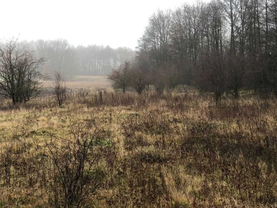 Земельна ділянка 1,5 га ЖД під елеватор/склад/базу