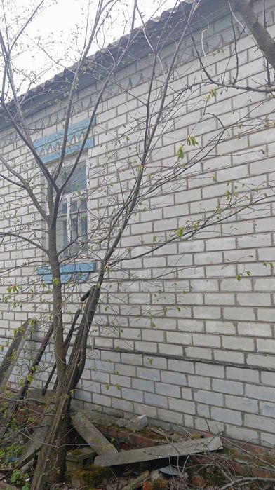 продам кирпичный дом в сел.Лизогубовка 45м2,участок 25соток,летняя кухня 56м2