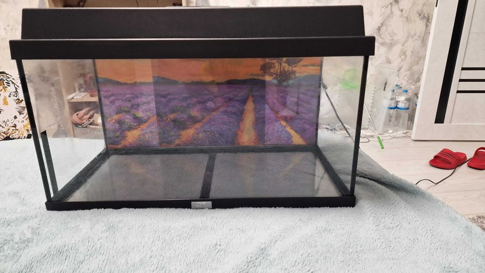 Акваріум приблизно 70 літрів