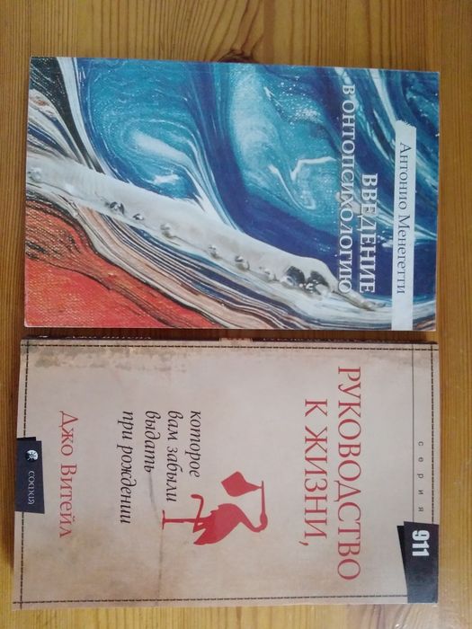 Втрачене керівництво до життя (Менегетті та Вітейл).