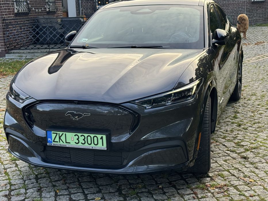 Ford Mach-e sprzedam