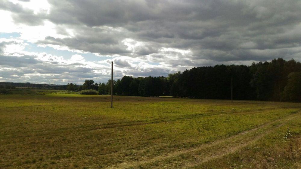 Продам участок 2га на берегу реки Мжа, в с.Тимченки