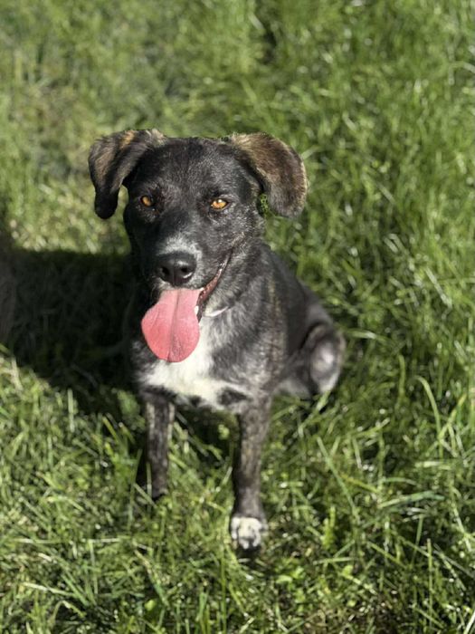 Ines – czarująca przylepa