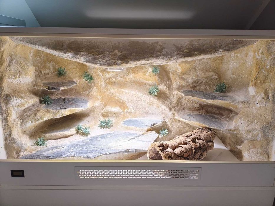 Terrarium naturalne dla agamy, gekona z pełnym wyposażeniem