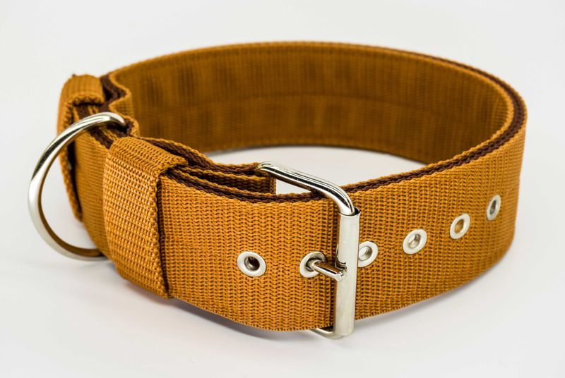 Obroża 5cm. Mocna i szeroka obroża dla psa. Kolor jasny brąz.