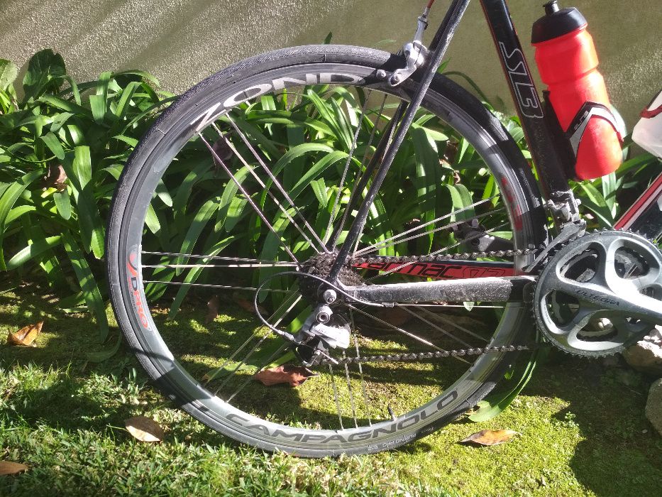 Rodas de estrada Campagnolo Zonda (10-11v)