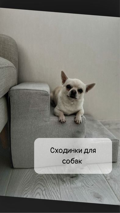 Сходинки для собак/ Прикроватные ступеньки