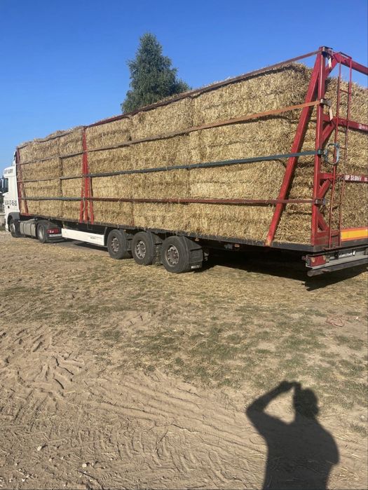 Siano i słoma w dużych kostkach | Producent | Transport cała Polska